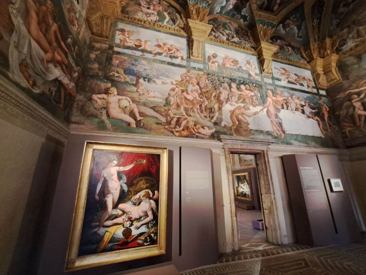 Dal caos al cosmo. Metamorfosi a Palazzo Te. Foto di Giuseppe Fraccalvieri