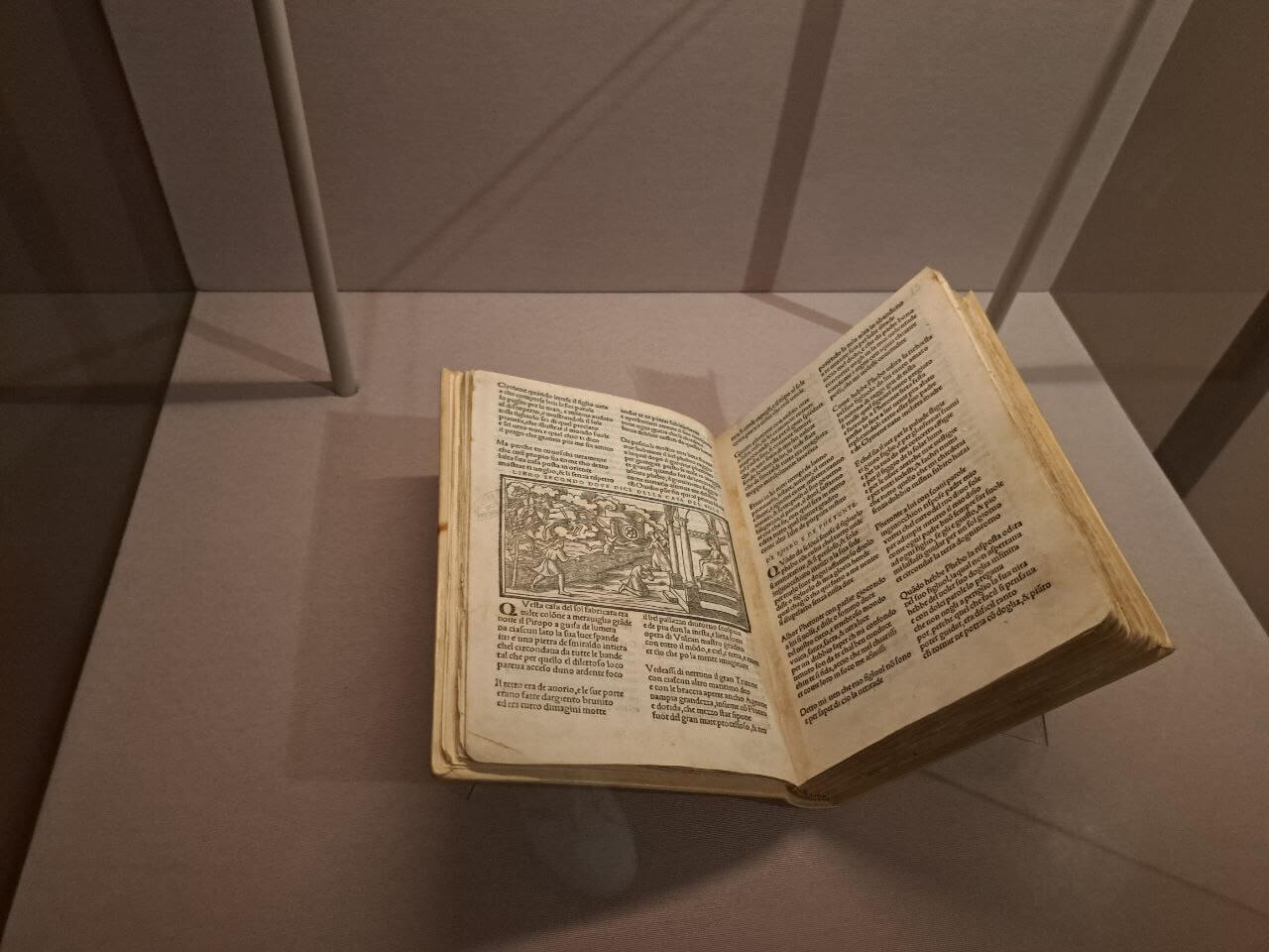 Dal caos al cosmo. Metamorfosi a Palazzo Te. Foto di Giuseppe Fraccalvieri