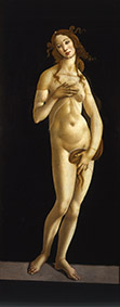 Sandro Filipepi, detto Botticelli Venere 1485-1490 Olio su tela, 174x77 cm Su concessione del Mic - Musei Reali, Galleria Sabauda