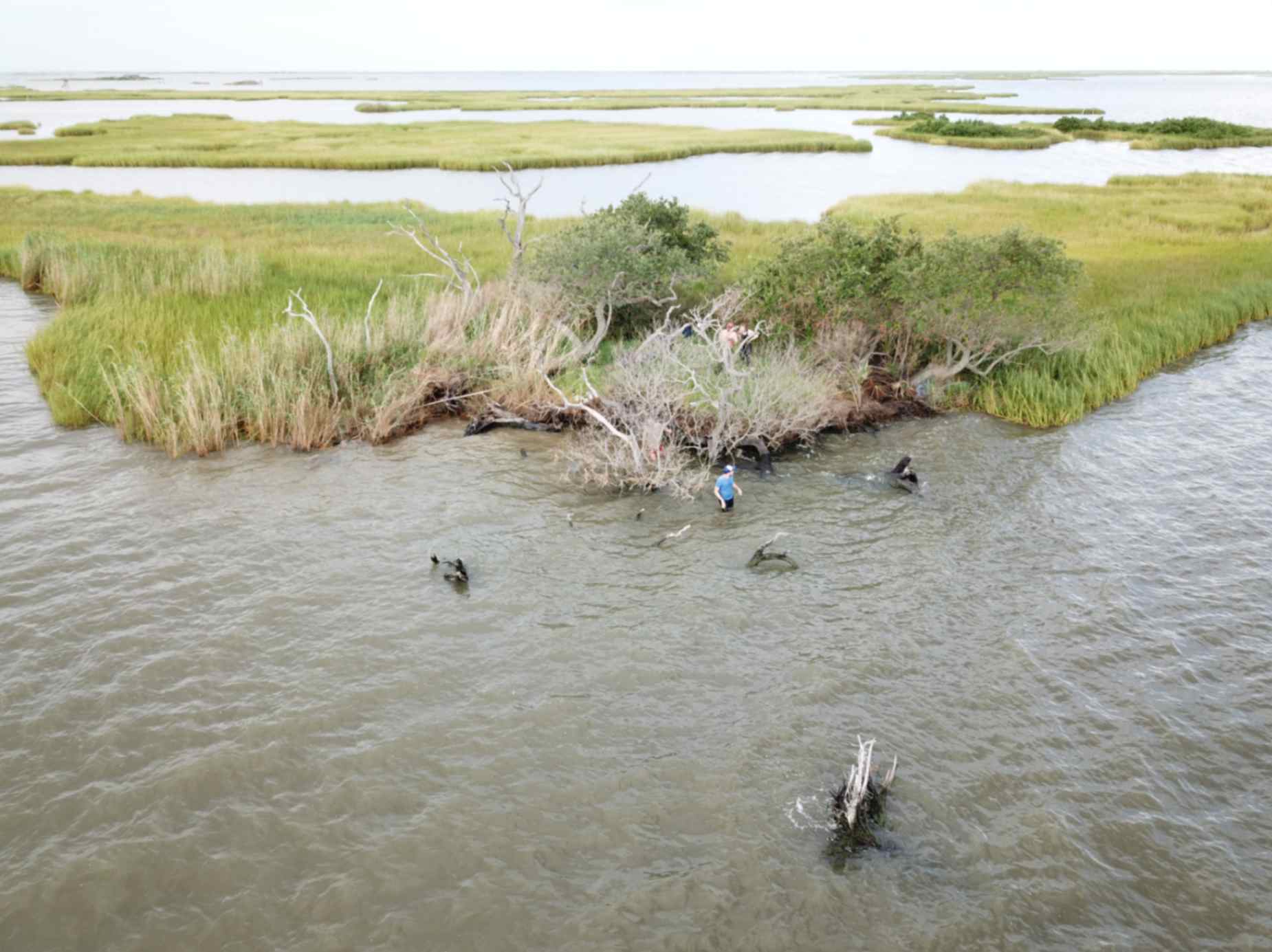 Adams Bay PNAS Nexus