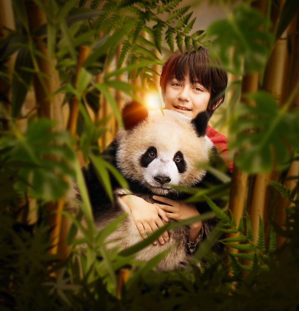 Moon il panda, film di Gilles de Maistre