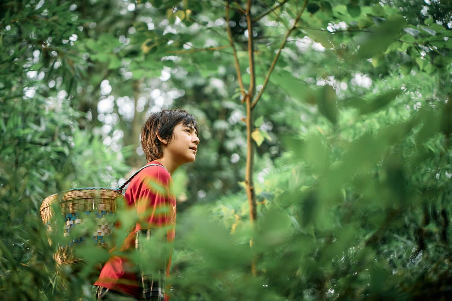 Moon il panda, film di Gilles de Maistre