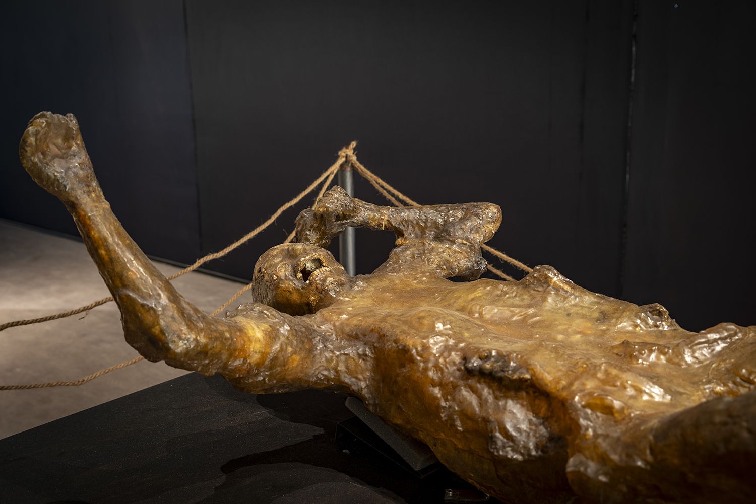 Mostra Essere donna nell'antica Pompei