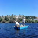 olivo Sicilia età del Bronzo i carotaggi nella zona Pantano Grande, un’area paludosa vicino Messina