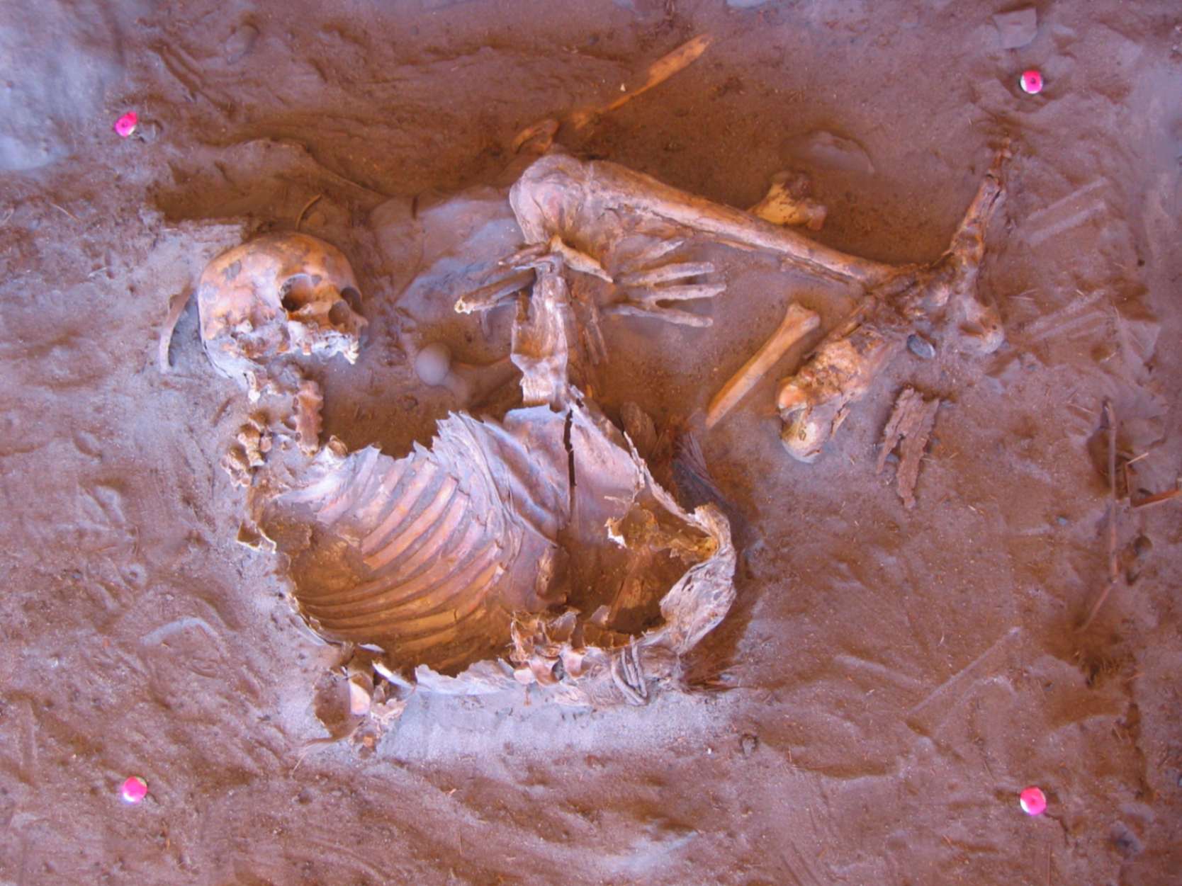 l'individuo H1 datato a 7 mila anni fa, naturalmente mummificato, dal rifugio rupestre di Takarkori, nella Libia meridionale. Vista zenitale