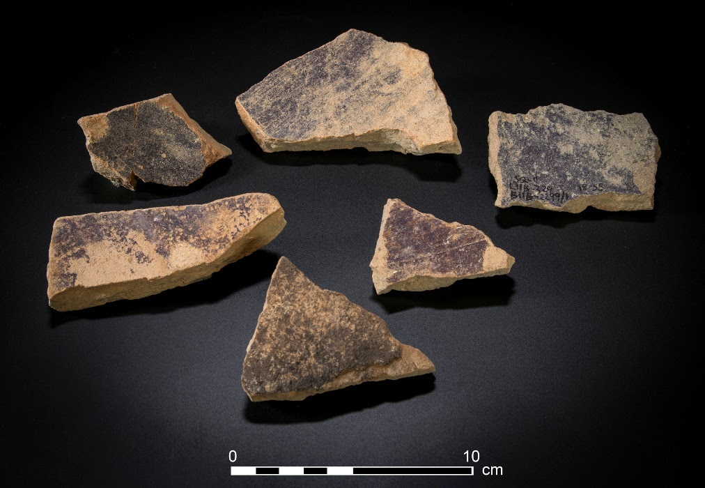 Photo of body sherds of purple dye vats with purple dye remains. Shalvi et al., 2025, PLOS One, CC-BY 4.0