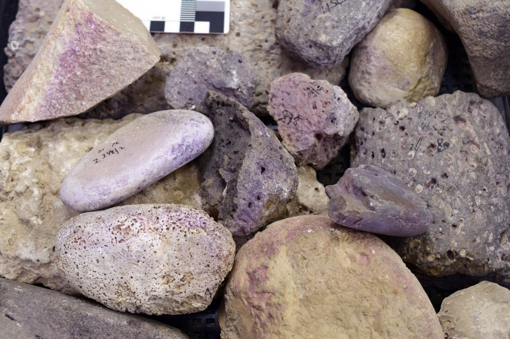 Stone tools with purple dye residue. Photos by Maria Bukin. Shalvi et al., 2025, PLOS One, CC-BY 4.0