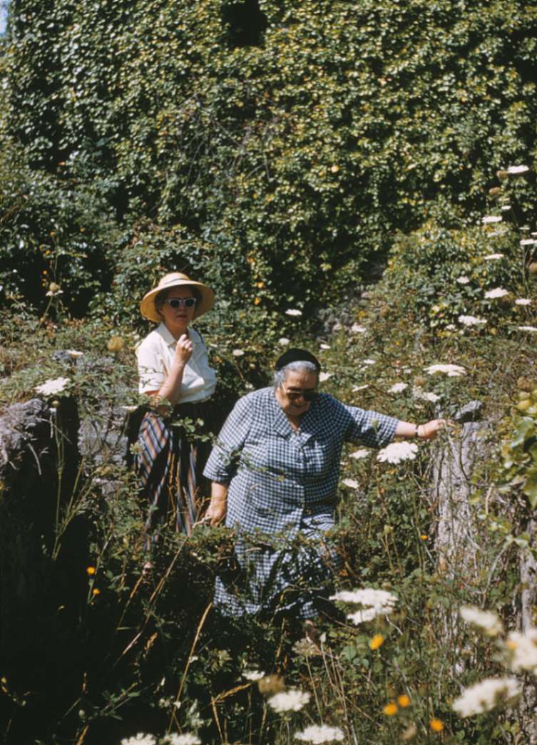 Wilhelmina Jashemski e Tatiana Warscher