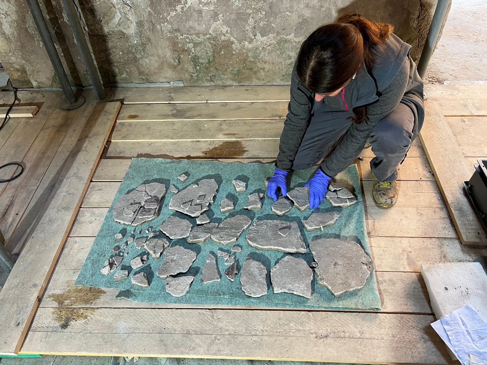 Casa dell’Erma di bronzo Frammenti affresco ricerca degli attacchi
