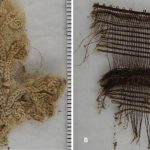 Franz Xaver Sidler von Rosenegg Further findings of special fabric tissue from the material detected in the mummy's abdominal cave: Left: A piece of cotton with an elaborate floral pattern. Right: Fragment of a silk fabric such as used for the mummy’s cross. Credit: Andreas Nerlich