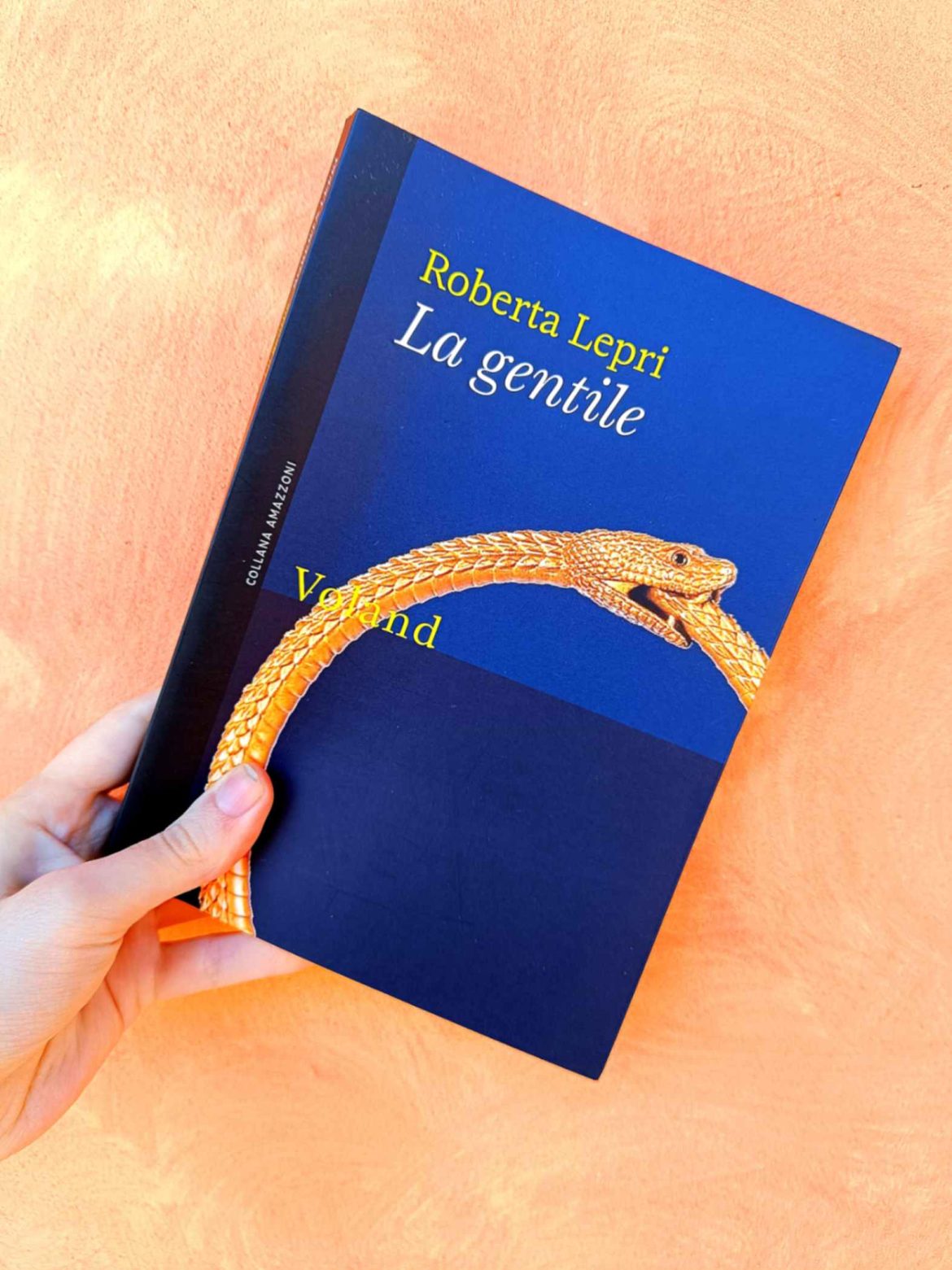 la copertina del romanzo La gentile, di Roberta Lepri, edito da Voland (2024) nella collana Amazzoni. Foto di Ilaria Parlanti
