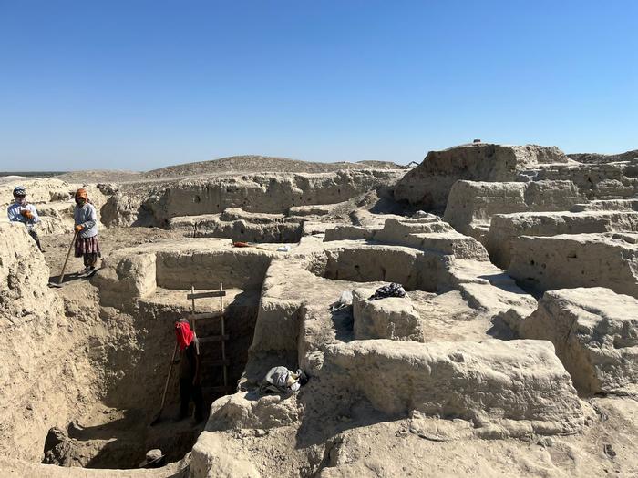 Excavations at the Vardhanze archaeological site in Uzbekistan, under the directorship of Silvia Pozzi and the Italian/Uzbek Expeditions. Among other research questions, Dr. Spengler and his team are trying to better understand how a massive capital city was fed and supplied on the edge of the Kyzyl Kum Desert in early historical periods. Photo Credits: Robert N. Spengler III