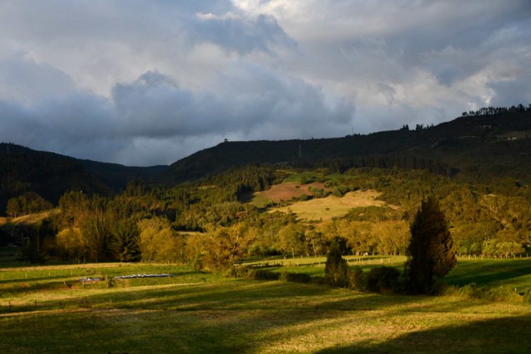 Panoramic view of the Altiplano, the high plains around Bogotá. Photo Credits: William Usaquen/Universidad Nacional de Colombia