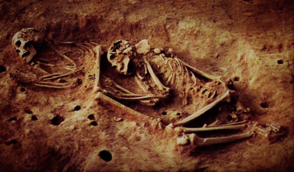 The skeletons of two hunter-gatherer individuals excavated at the Checua archaeological site (Bogotá Altiplano). Photo Credits: Ana María Groot/Universidad Nacional de Colombia