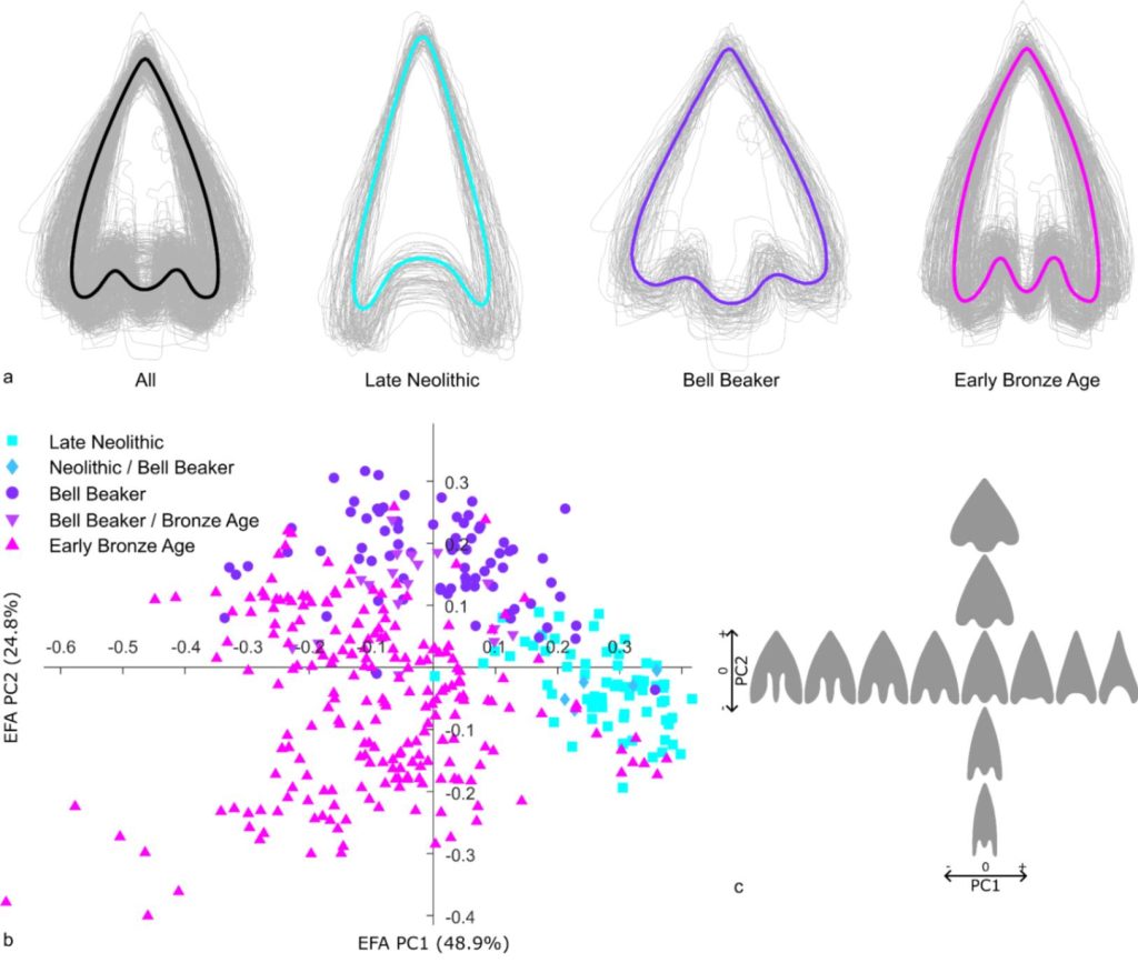 The AutArch workflow can also extract the outline of artefacts from catalogues, such as arrowheads, allowing for various shape analyses. Copyright: Klein et al. 2025