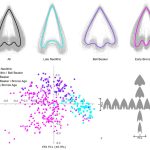 The AutArch workflow can also extract the outline of artefacts from catalogues, such as arrowheads, allowing for various shape analyses. Copyright: Klein et al. 2025