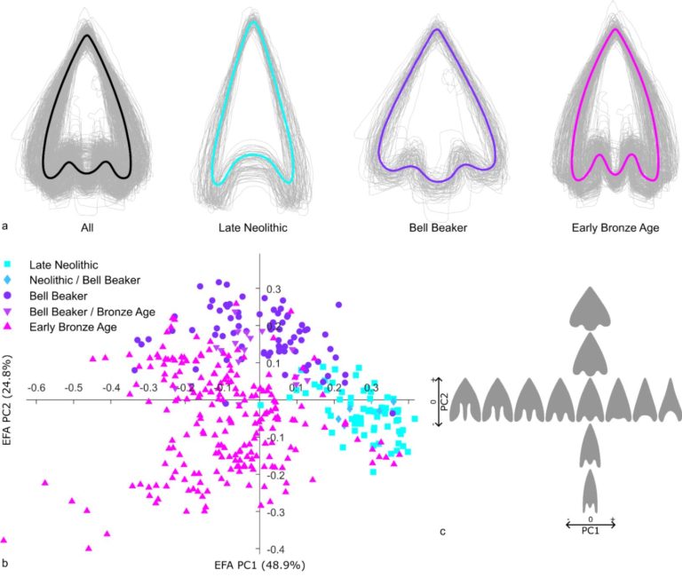 The AutArch workflow can also extract the outline of artefacts from catalogues, such as arrowheads, allowing for various shape analyses. Copyright: Klein et al. 2025