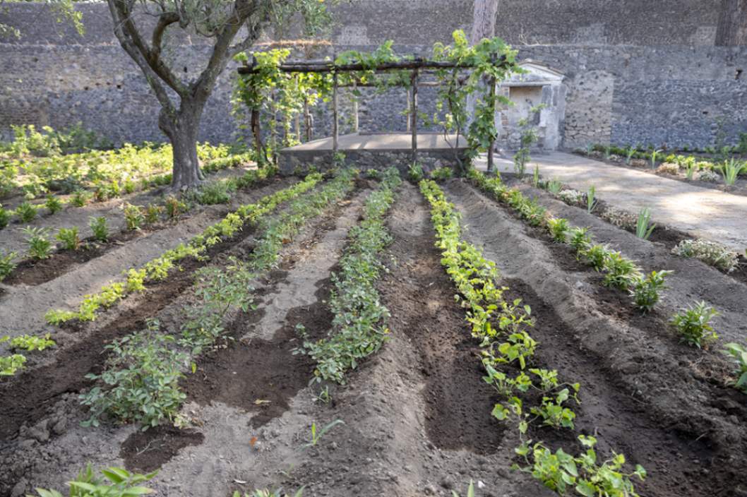 Casa del Giardino di Ercole, “casa del profumiere”: ricostruzione