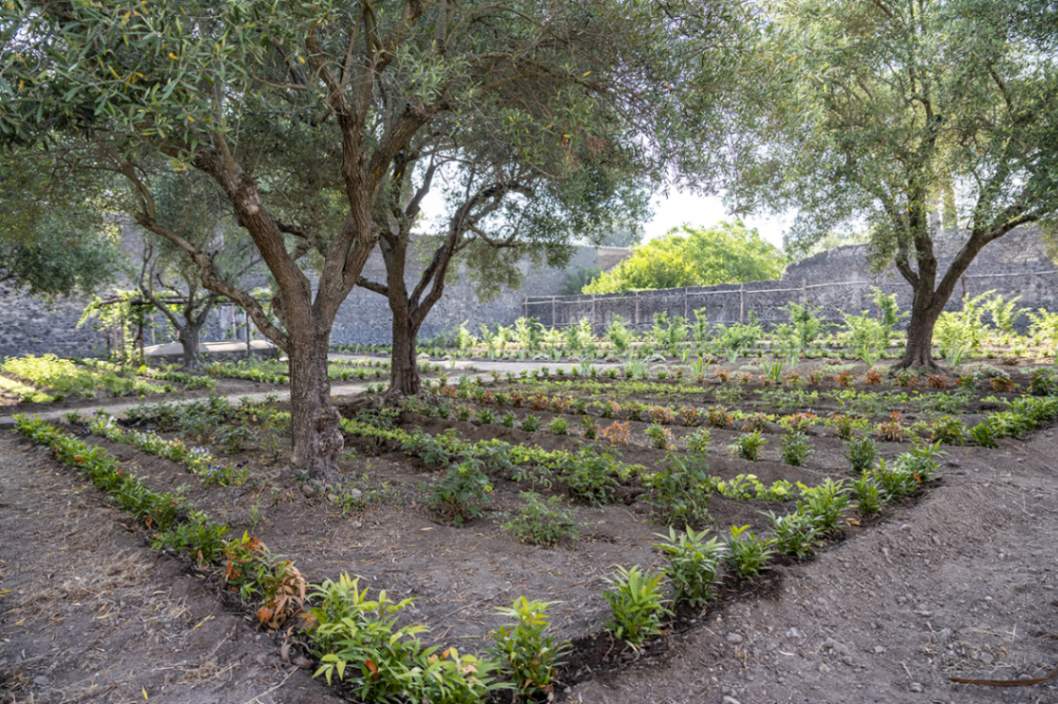 Casa del Giardino di Ercole, “casa del profumiere”: ricostruzione