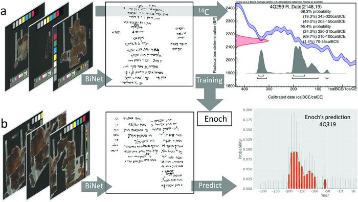 Enoch’s date prediction estimate for 4Q319. (a) from full spectrum color image to binarized image to 14C plot for 4Q259 that went into the training of Enoch. (b), from full spectrum color image to binarized image to Enoch’s date prediction plot for 4Q319 (see also illustration 9 in S5 Appendix). Red bars represent the probability of each date bin. The blue curve shows the smoothed distribution. Grey spikes indicate the local uncertainty of the estimate. Credits: Popović et al., 2025, PLOS One, CC-BY 4.0