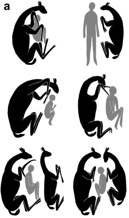 Diagrams of the different burial positions of camelids and humans from the funerary contexts of El Olivar. Credits: López Mendoza et al., 2025, PLOS One, CC-BY 4.0