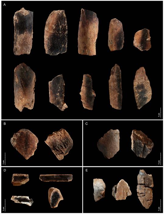 Burnt fallow deer bones from Qesem Cave. Qesem Cave Project. Photo Credits: Tel Aviv University, CC BY