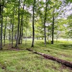 Raised agricultural beds cover an estimated 70% of the lidar survey area at Sixty Islands archaeological site along the Menominee River. Photo credits: Madeleine McLeester