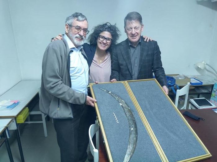 Prof. Sahra Talamo in the center, with Prof. Paweł Valde-Nowak is on her left, and Prof. Adam Nadachowski on her right. Photo Credits: Talamo et al., CC-BY 4.0