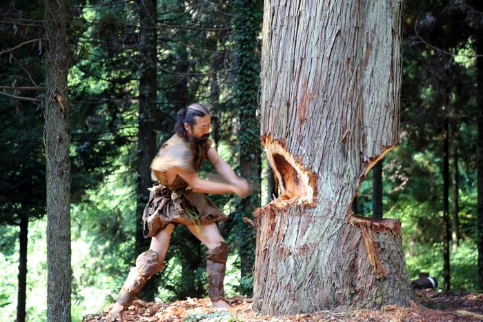 The team used replica tools and a real tree. ©2025 Kaifu et al. CC-BY-ND