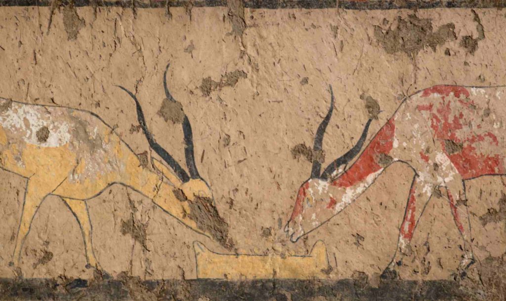 riallestimenti al Museo Egizio: dettaglio degli affreschi della tomba di Iti e Neferu