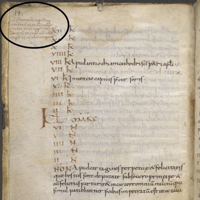 This manuscript features a curious recipe in the margins -- for lizard shampoo. The note reads "For flowing hair. Cover the whole head with fresh summer savory and salt and vinegar. [Then] rub it with the ashes of a burnt green lizard, mixed with oil." Photo Credits: The British Library