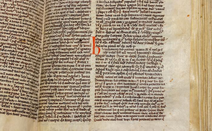 Part of the sermon mentioning Wade in Peterhouse MS 255. The word 'Wade' appears 4 lines up, 3rd word from right. 'Lupi' (wolf) appears in the bottom line, 5 words from the left. Credits: Courtesy of the Master and Fellows of Peterhouse / University of Cambridge