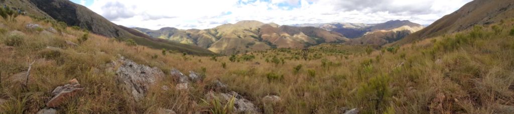 The Mgwayiza Valley in Eswatini. Photo Credits: Adam Rogers Das Mgwayiza-Tal in Eswatini. Foto: Adam Rogers