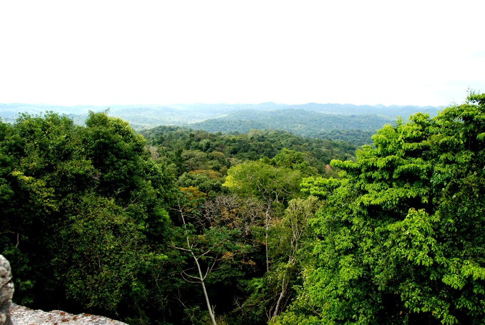 Caracol, Belize. Picture by Elelicht, CC BY-SA 3.0