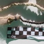 Dark brown human hair signature on a khipu, Jucul, Peru. Photo Credits: Sabine Hyland Inkan commoners – not just elites – wove khipus, knot-based recordkeeping systems