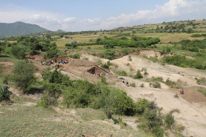 Nyayanga excavation site in July 2025. Tan and reddish-brown sediments are more than 2.6-million-year-old deposits where fossils and Oldowan tools are found. Photo Credits: T.W. Plummer, Homa Peninsula Paleoanthropology Project