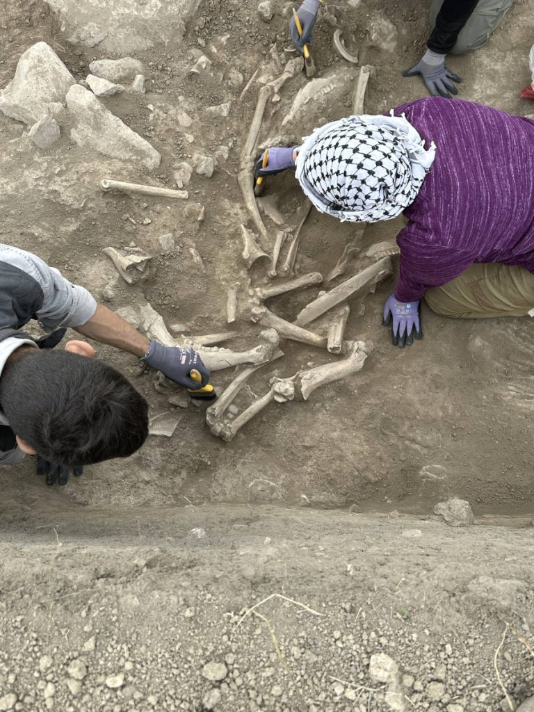 resti a Uşaklı Höyük