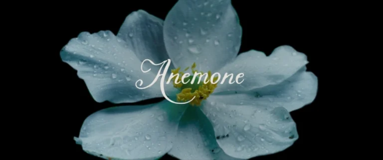 un'immagine da Anemone, film di Ronan Day-Lewis