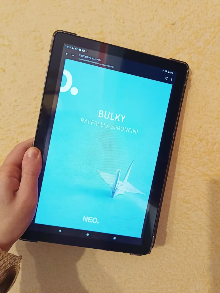 la copertina del romanzo Bulky, di Raffaella Simoncini, edito da Neo. Edizioni (2022). Foto di Ilaria Parlanti