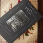 la copertina del romanzo il caso Virgilio, di Vittorio Del Tufo, edito da Colonnese editore (2024). Foto di Giuseppe Inella