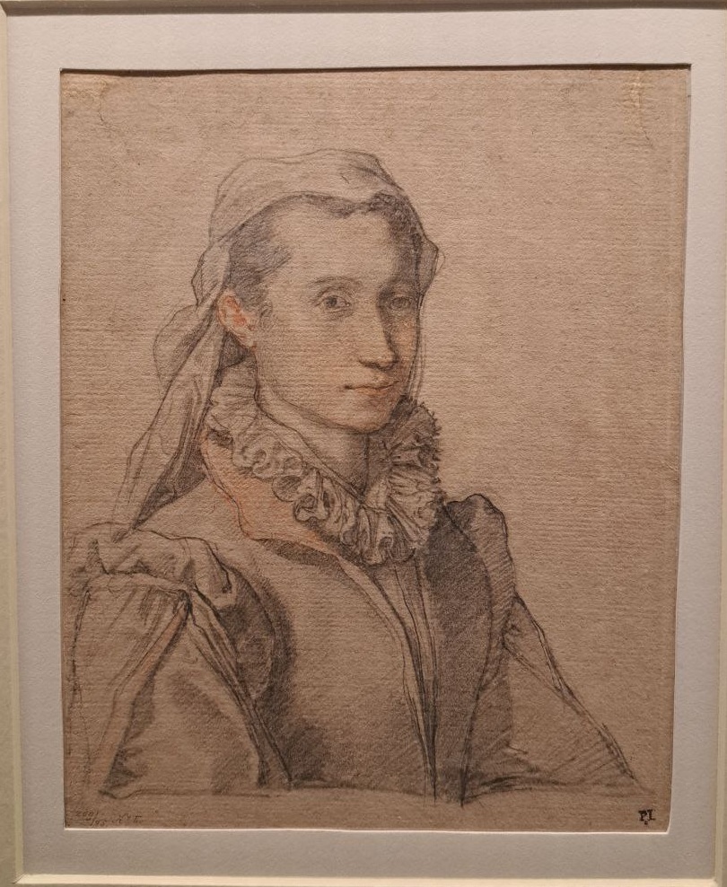 Federico Zuccari, Ritratto di Diana Scultori. Foto di Giuseppe Fraccalvieri