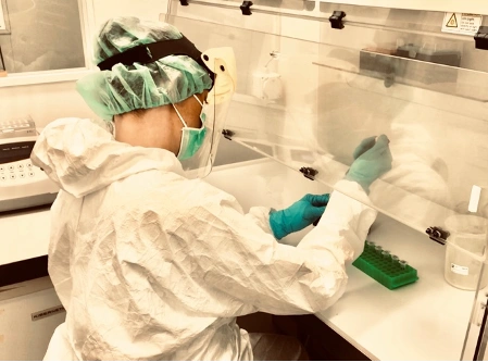 Dieta e problemi dentali nell’Italia preromana: la parodontite già presente nelle popolazioni etrusche e sannite. In foto, il laboratorio di analisi