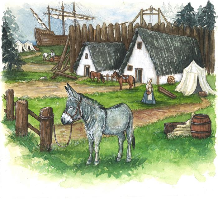 An illustration of a donkey in colonilal Jamestown. Credits: Paula Calle Lopez, Courtesy of Jamestown Rediscovery (Preservation Virginia)