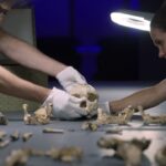 una scena dal documentario Tautavel. Vivre en Europe avant Néandertal, di Emma Baus