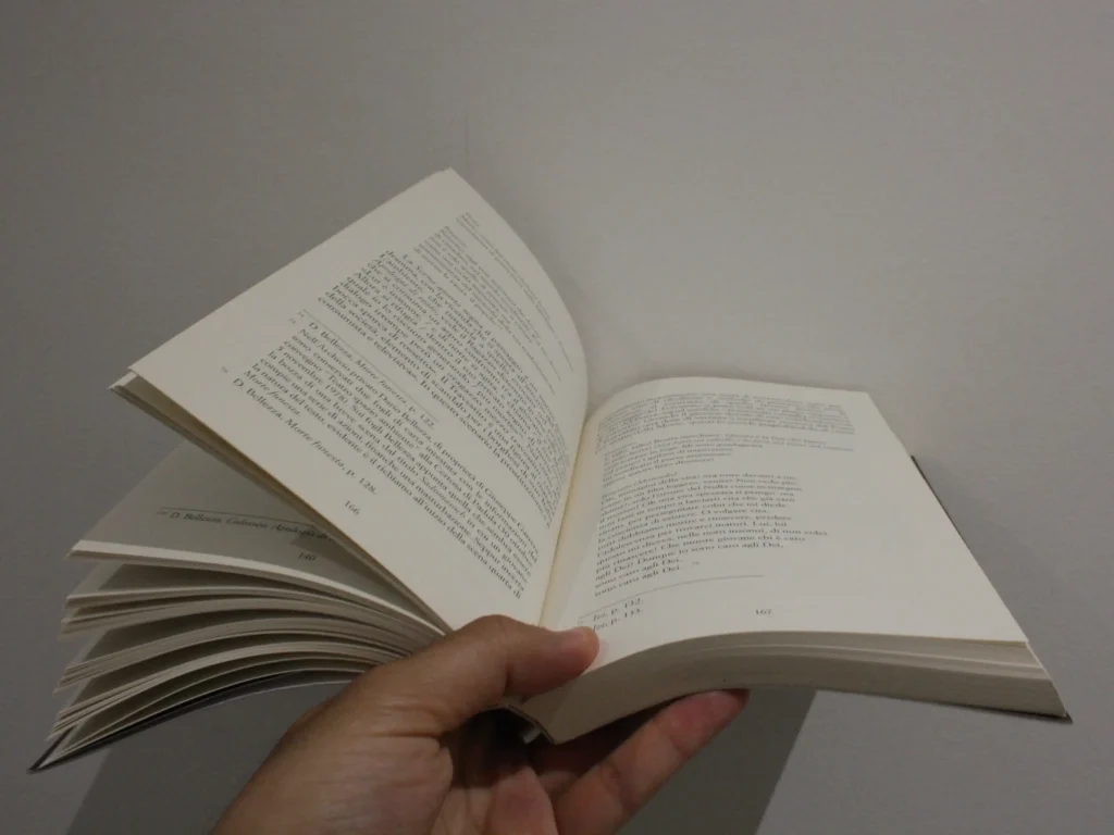 pagine del libro