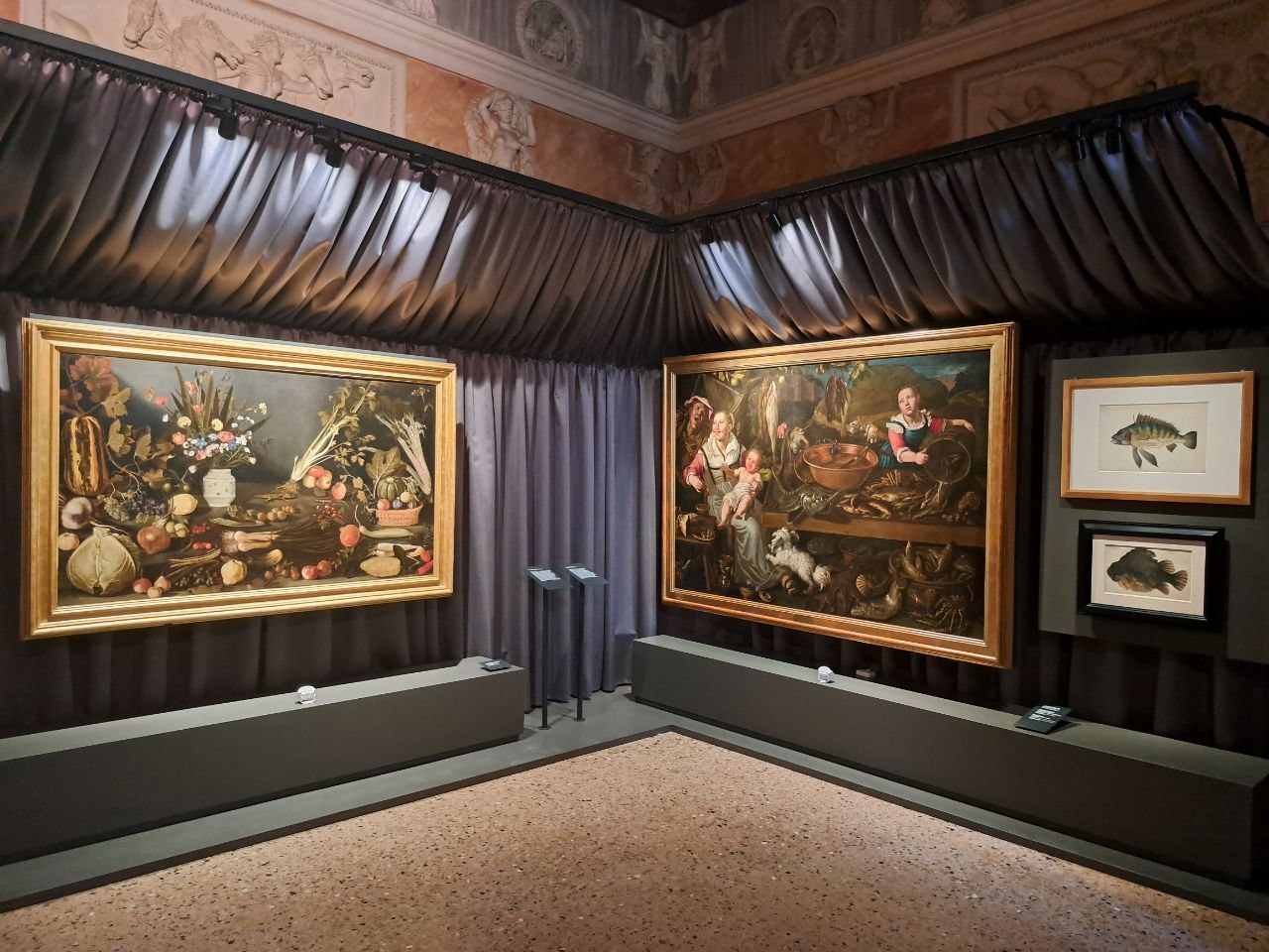 allestimenti dalla mostra a Palazzo Te, Inventare la natura. Leonardo, Arcimboldo, Caravaggio
