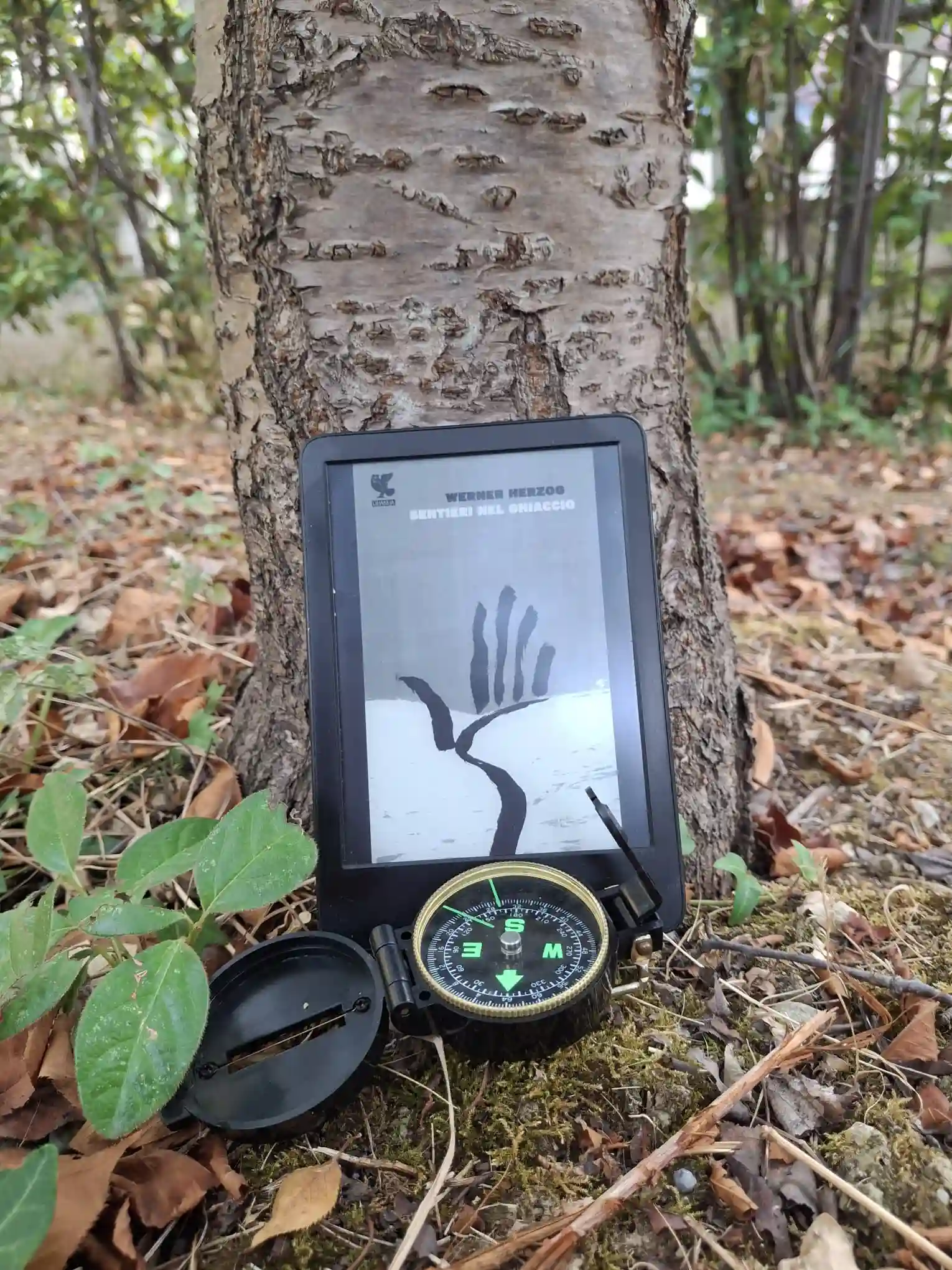 l'edizione digitale del libro Sentieri nel ghiaccio (titolo originale: Vom Gehen im Eis), di Werner Herzog, con traduzione e postfazione di Anna Maria Carpi, pubblicato in Italia da Ugo Guanda Editore